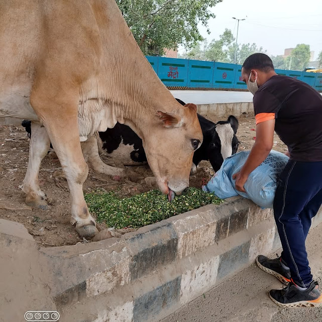 fb img 1742121829719