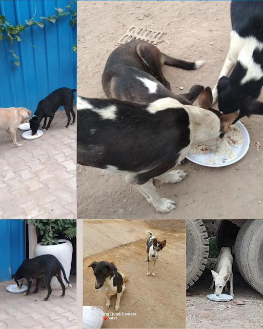 fb img 1742121893156